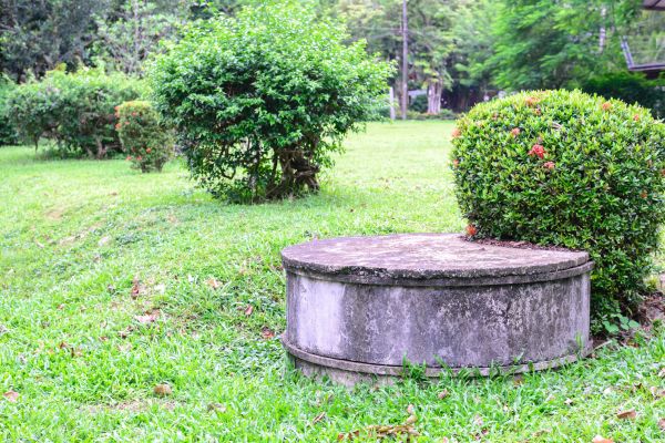 Septic System Construction